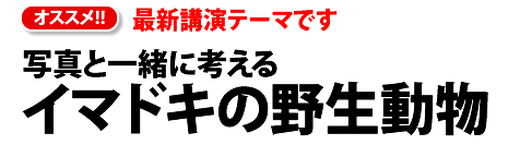 オススメ講演最新テーマです「写真と一緒に考えるイマドキの野生動物」